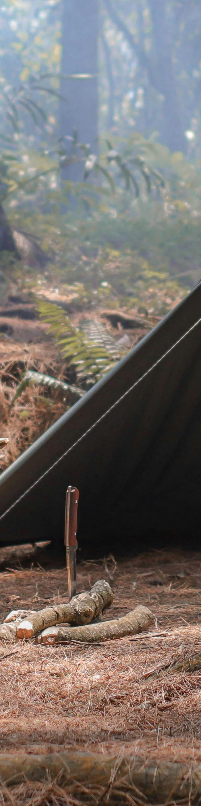 <h1><strong>Your next adventurestarts here</strong></h1>